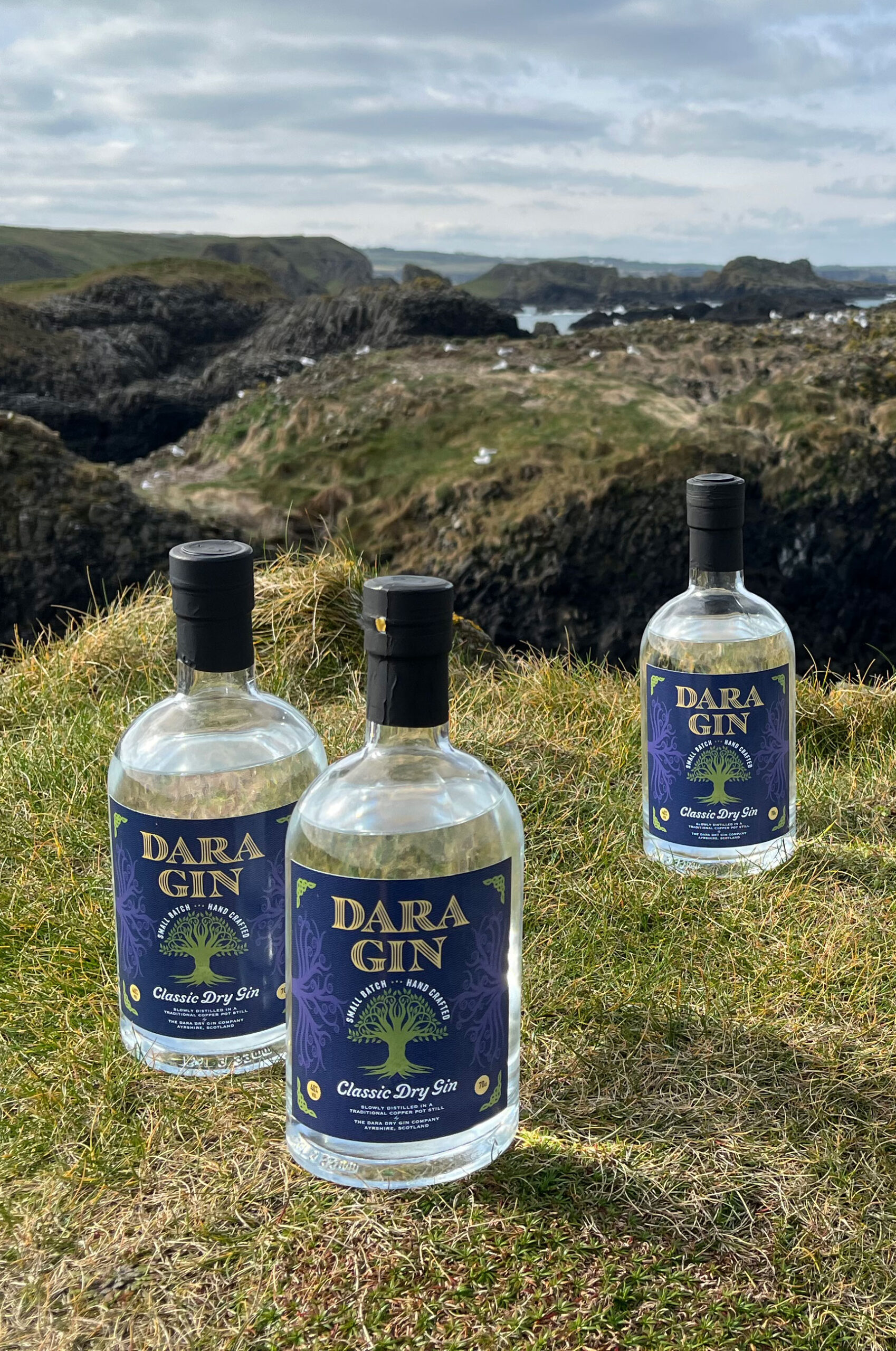 Dara Gin country